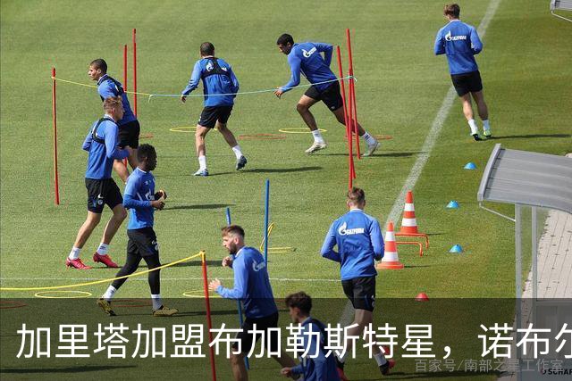 加里塔加盟布加勒斯特星，诺布尔接替其在深圳的位置