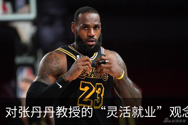 对张丹丹教授的“灵活就业”观念提出质疑