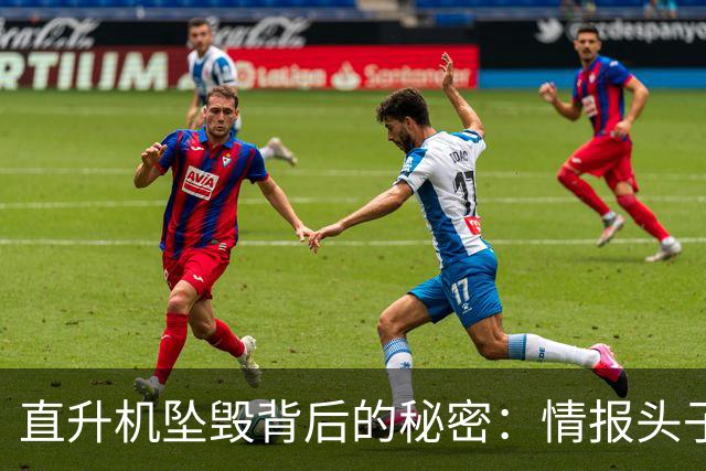 直升机坠毁背后的秘密：情报头子与游客的致命旅程