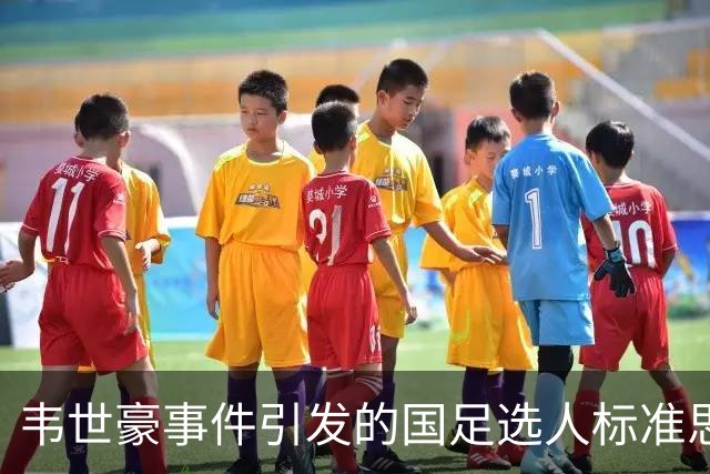 韦世豪事件引发的国足选人标准思考